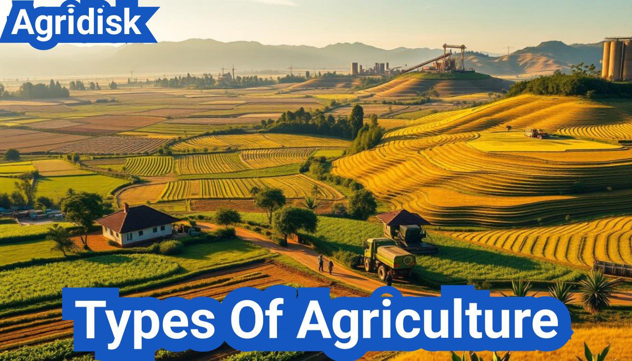 Types Of Agriculture: Everything You Need to Know
